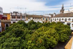 Hotel Boutique Elvira Plaza | Sevilla | Alrededores 2